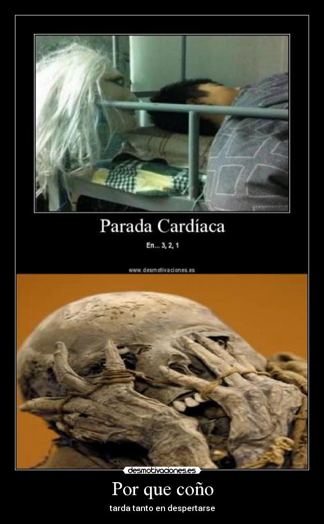 Por que coño - tarda tanto en despertarse