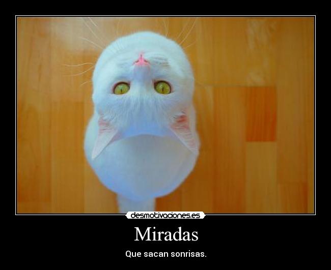 Miradas - Que sacan sonrisas.