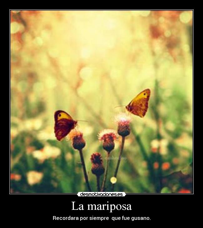 La mariposa -