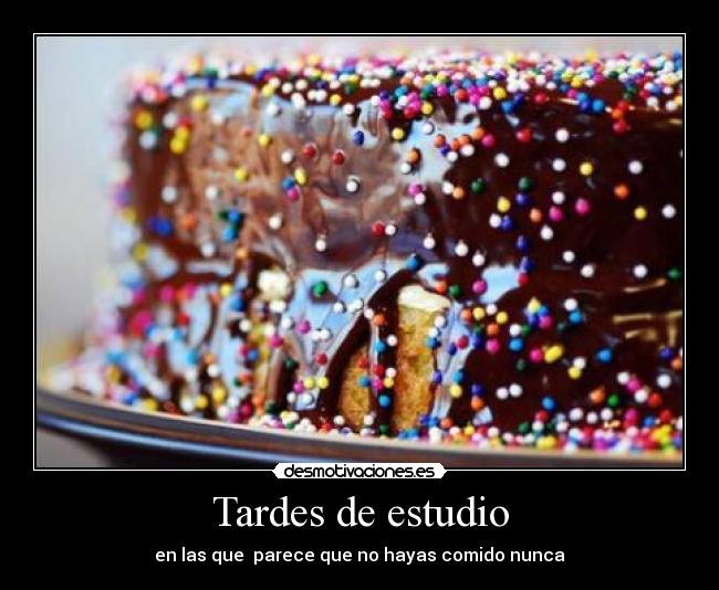Tardes de estudio - en las que parece que no hayas comido nunca