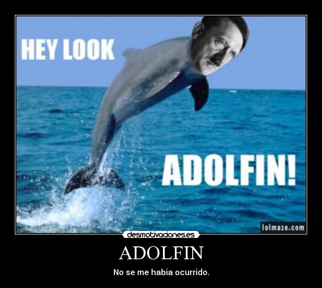 ADOLFIN - 