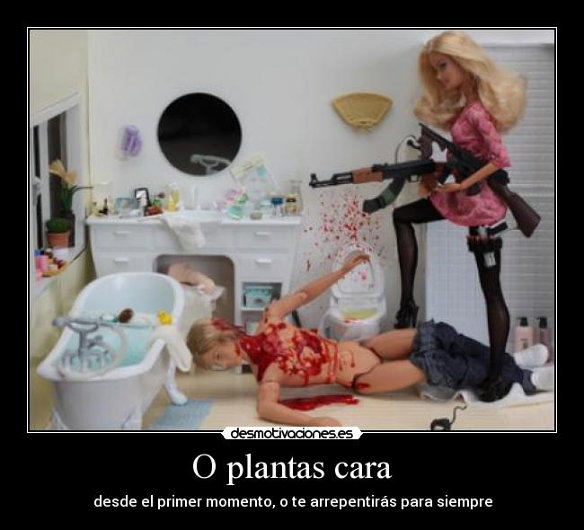 O plantas cara - desde el primer momento, o te arrepentirás para siempre