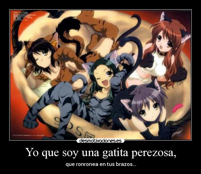carteles gatita perezosa ronronea brazos para chicos neko anime tios gatas desmotivaciones