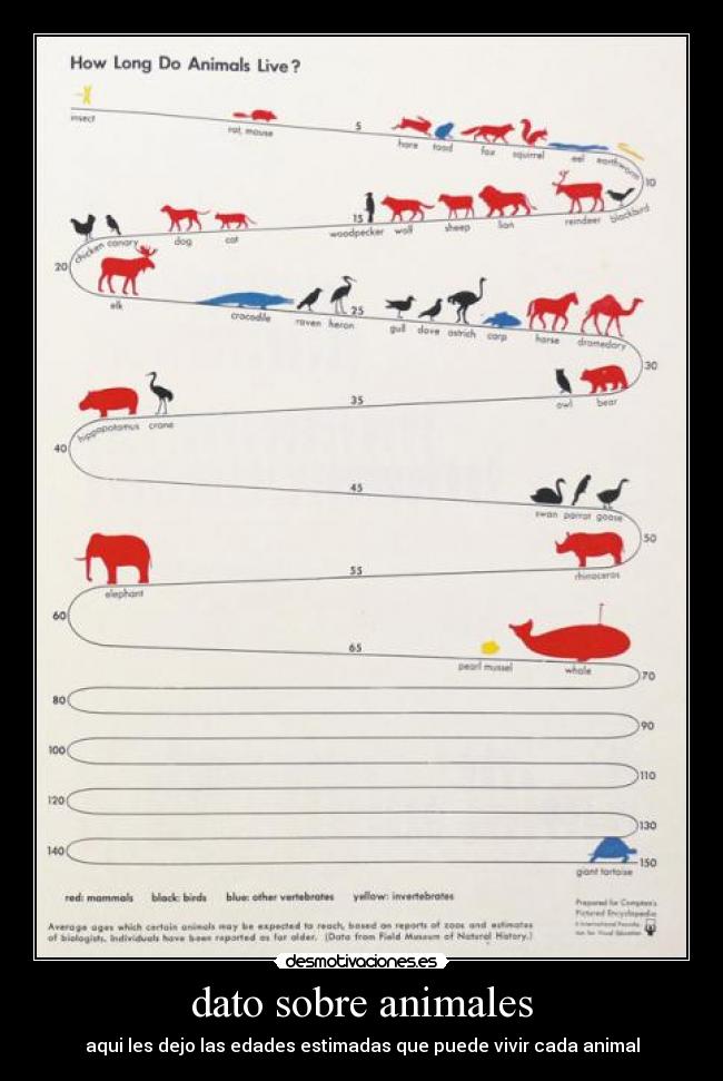 dato sobre animales - 
