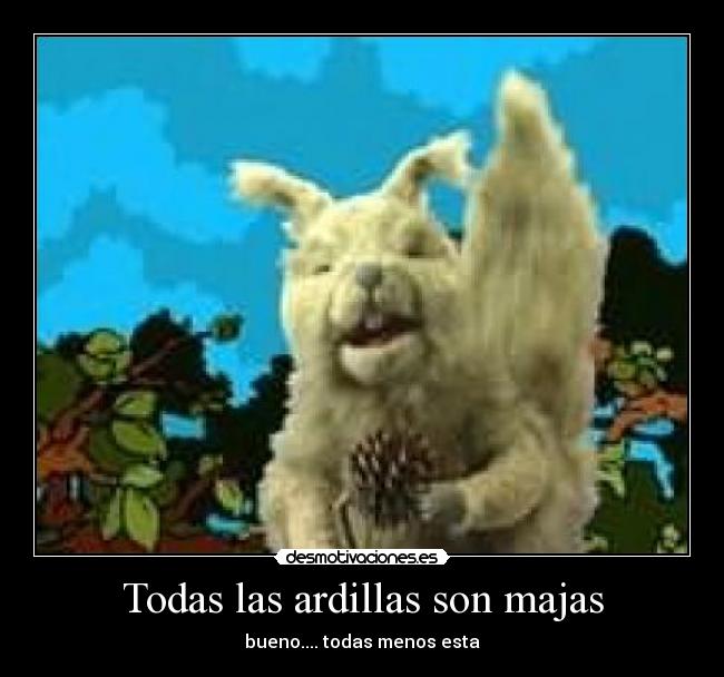 Todas las ardillas son majas - bueno.... todas menos esta