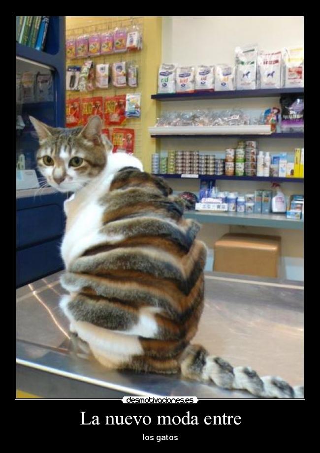 La nuevo moda entre - 