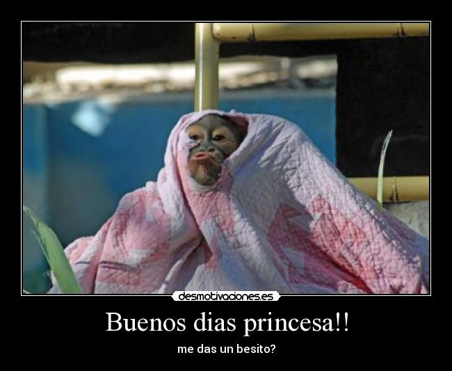 Buenos dias princesa!! - me das un besito?