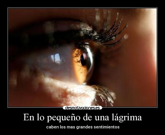 En lo pequeño de una lágrima - 