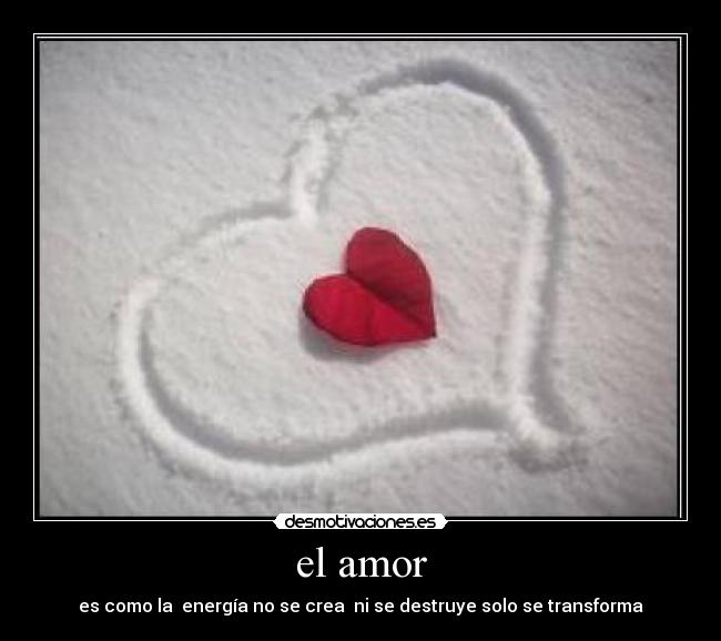 el amor - 
