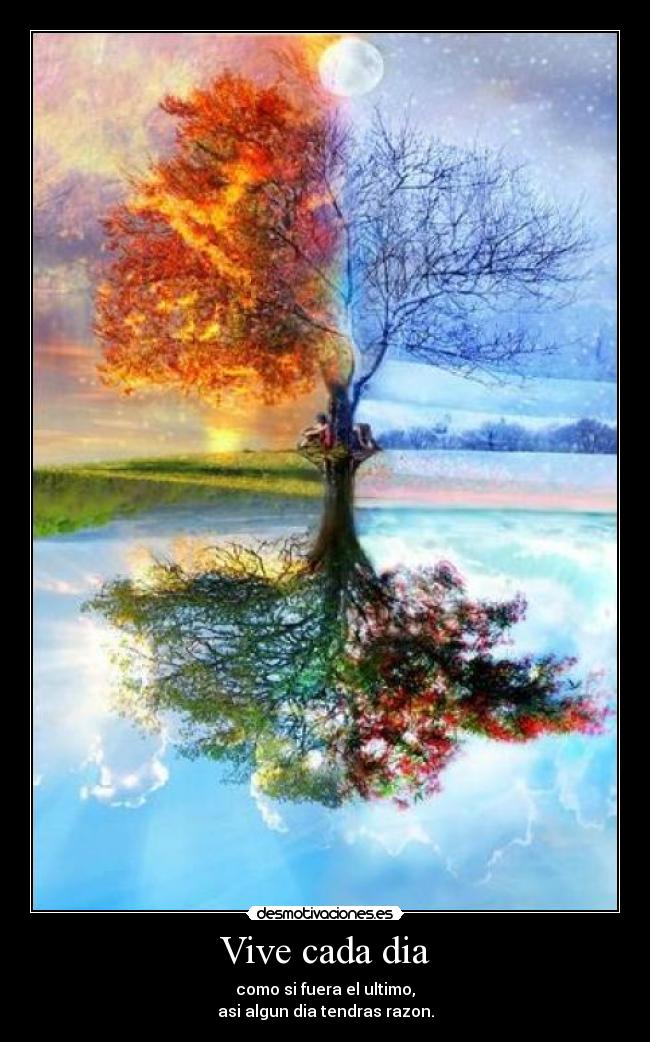 carteles vive desmotivaciones