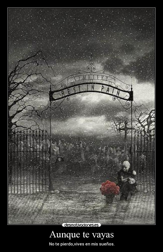 Aunque te vayas -