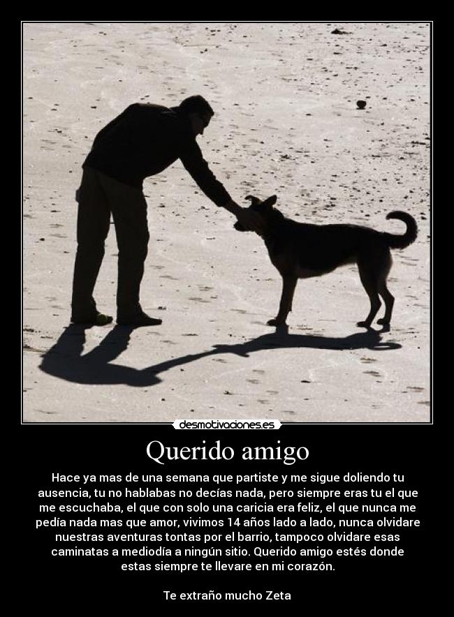 Querido amigo - 