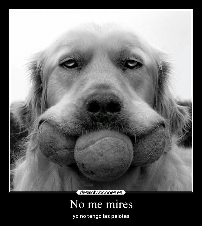 carteles jajajaja desmotivaciones