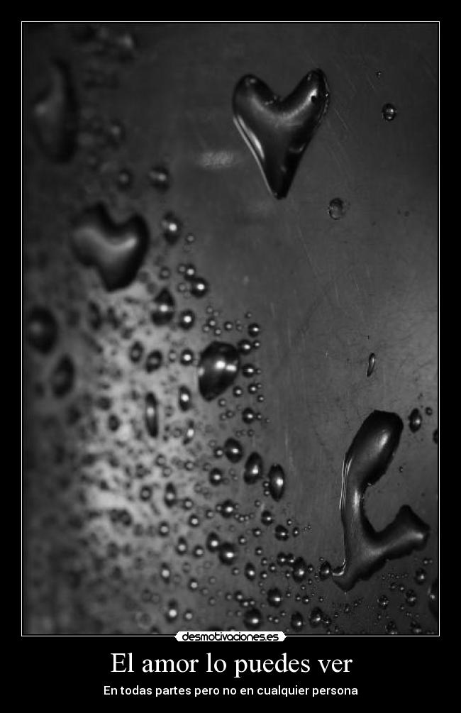 El amor lo puedes ver - En todas partes pero no en cualquier persona