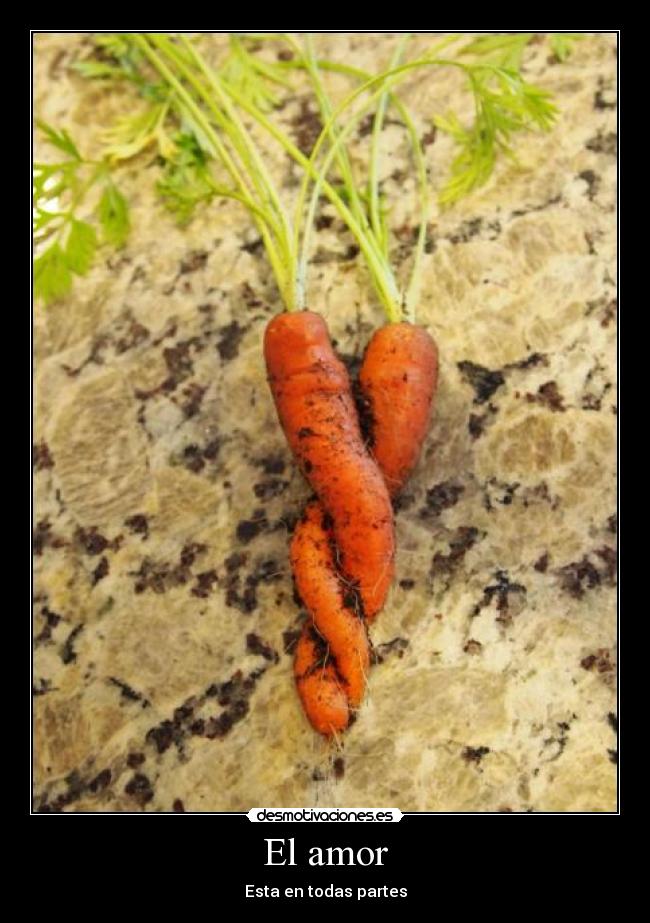 El amor - Esta en todas partes