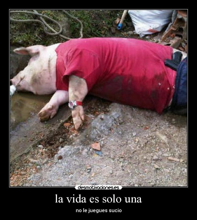 la vida es solo una - 