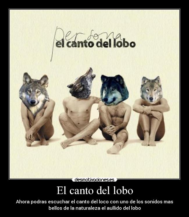 carteles lobo canto loco desmotivaciones