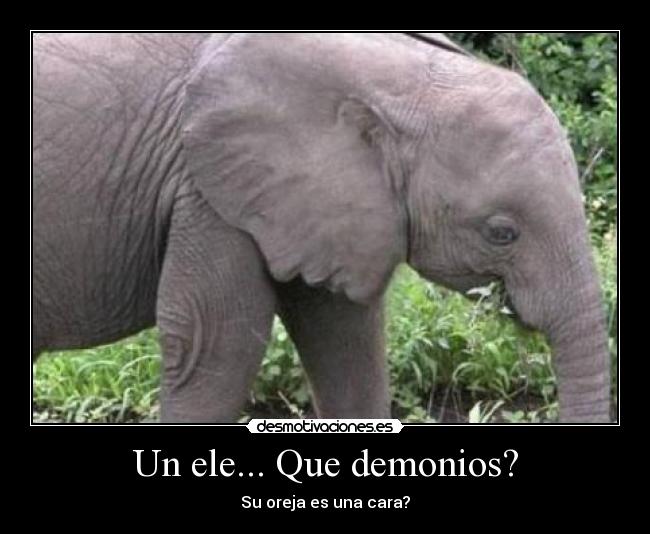 Un ele... Que demonios? - 