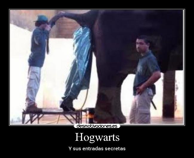 Hogwarts - Y sus entradas secretas
