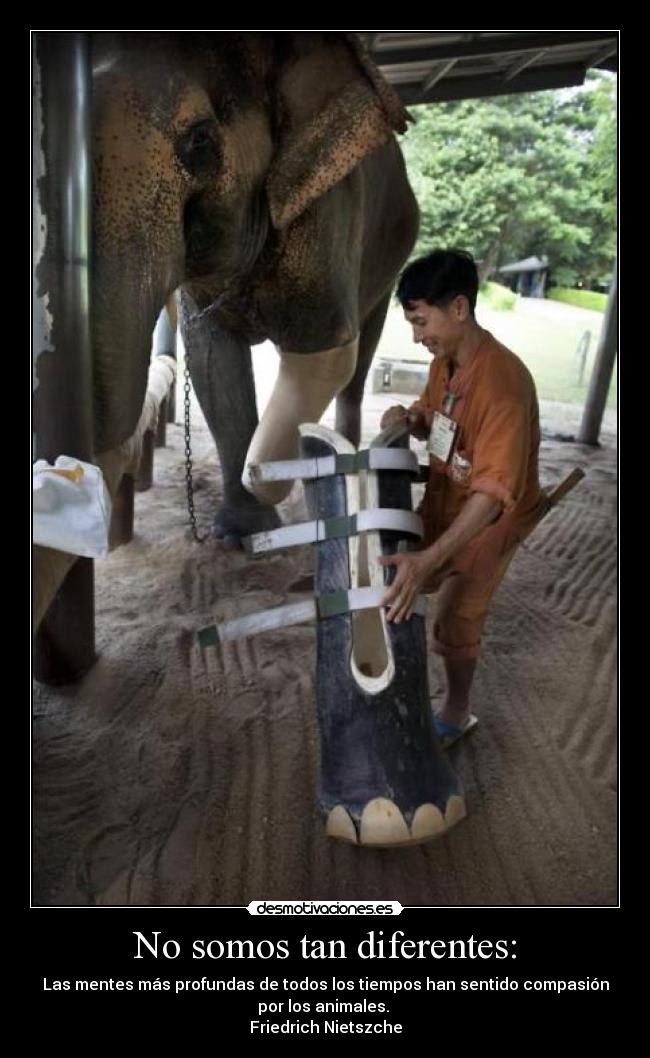 No somos tan diferentes: - 