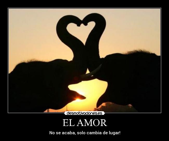 EL AMOR - No se acaba, solo cambia de lugar!