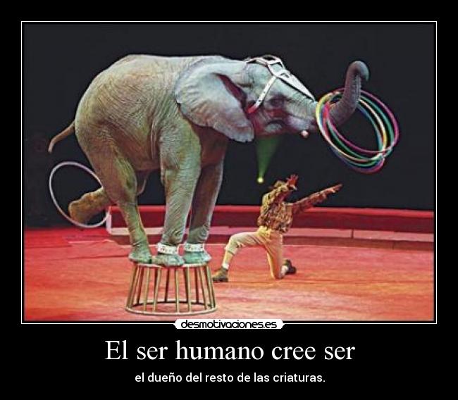 El ser humano cree ser - el dueño del resto de las criaturas.