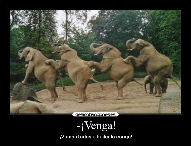 -¡Venga! - ¡Vamos todos a bailar la conga!
