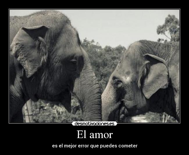 El amor -