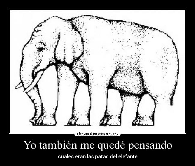 Yo también me quedé pensando - cuáles eran las patas del elefante