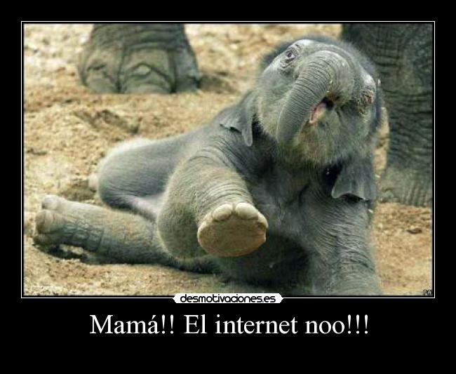 Mamá!! El internet noo!!! -