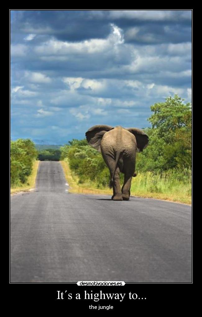 It´s a highway to... - 