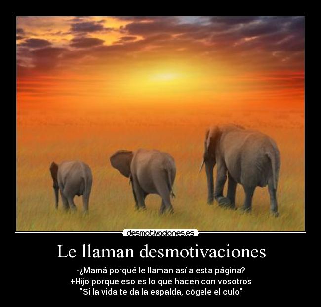Le llaman desmotivaciones -