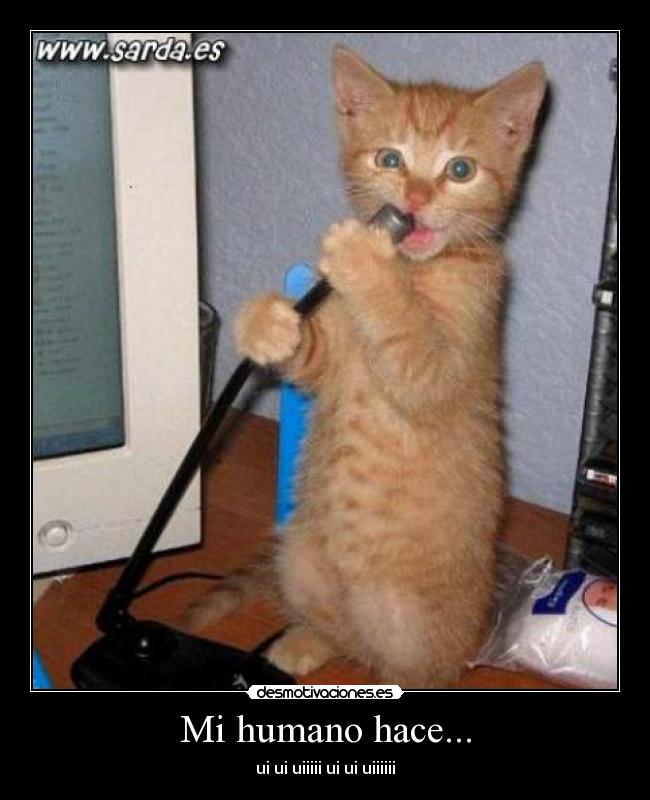 Mi humano hace... - ui ui uiiiii ui ui uiiiiii