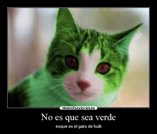 No es que sea verde - esque es el gato de hulk