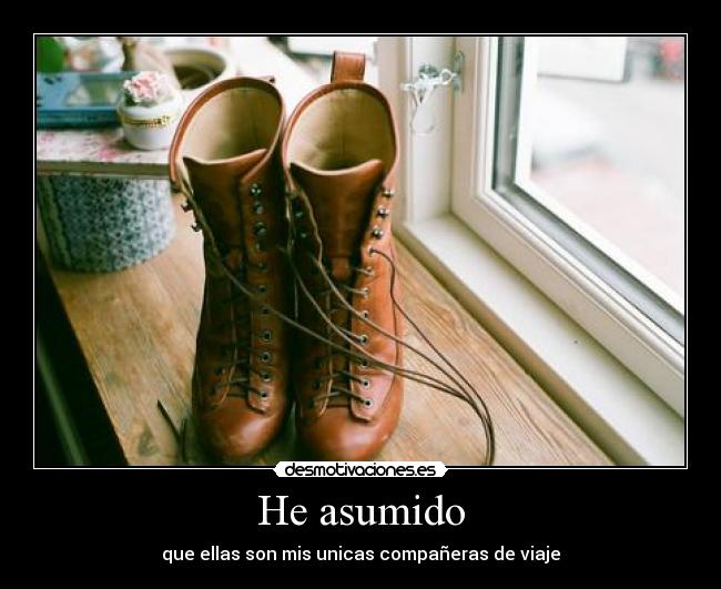 He asumido - que ellas son mis unicas compañeras de viaje