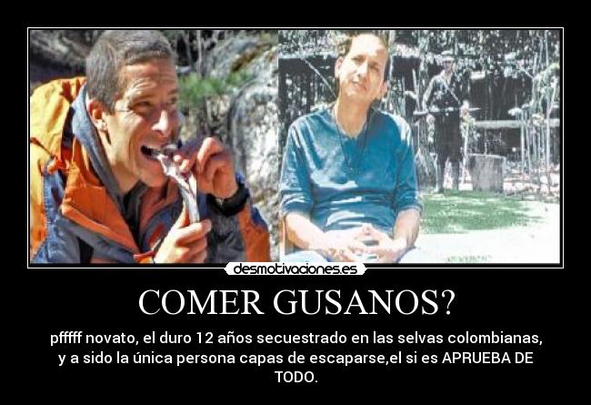 COMER GUSANOS? - pfffff novato, el duro 12 años secuestrado en las selvas colombianas,
y a sido la única persona capas de escaparse,el si es APRUEBA DE
TODO.