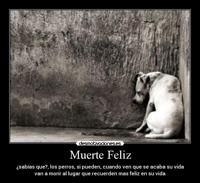 Muerte Feliz - 