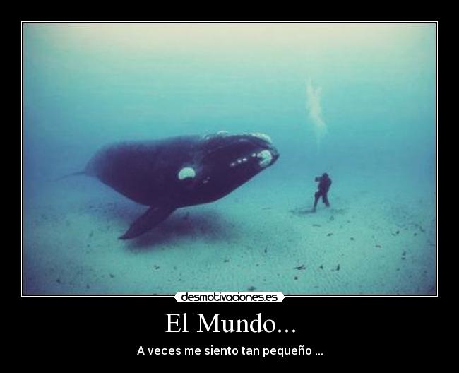 El Mundo... - 