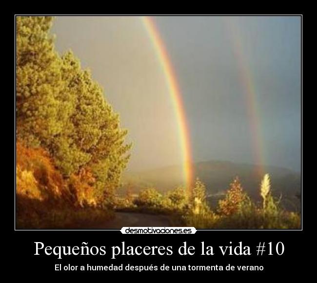 Pequeños placeres de la vida #10 - 