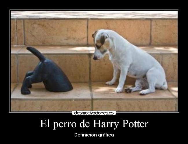 El perro de Harry Potter - Definicion gráfica