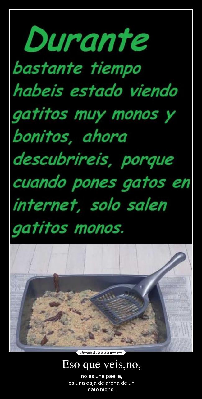 Eso que veis,no, - no es una paella,
es una caja de arena de un
gato mono.