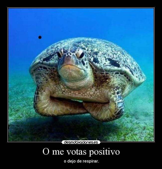 O me votas positivo - 