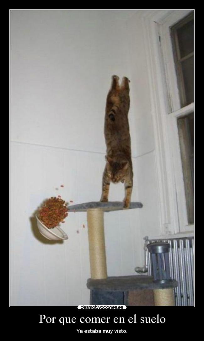 Por que comer en el suelo -