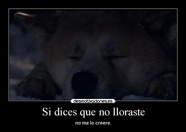 Si dices que no lloraste - 