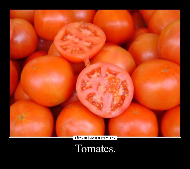 Tomates. -
