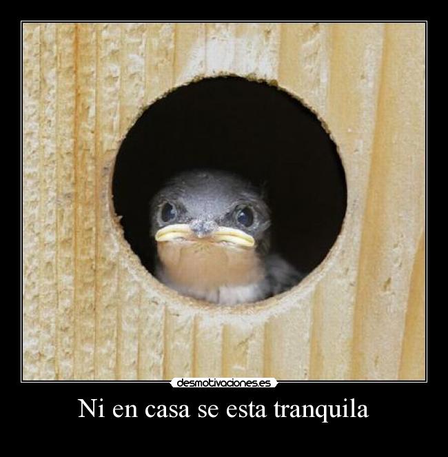 Ni en casa se esta tranquila -