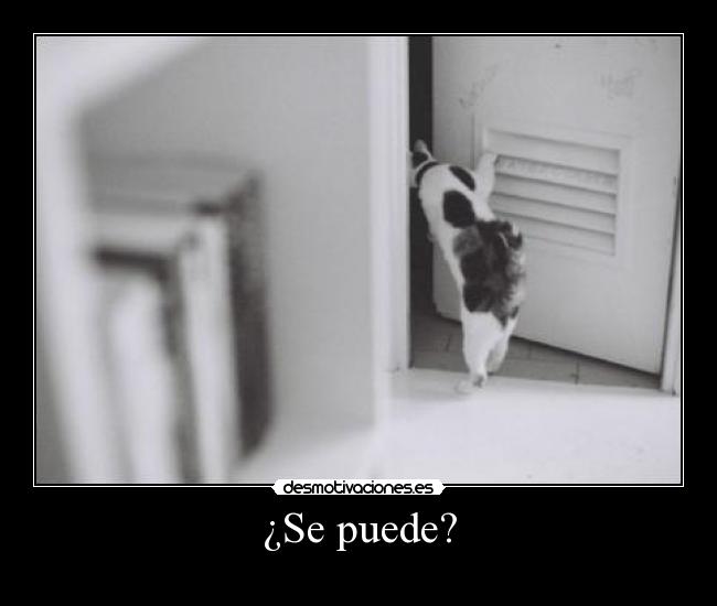 ¿Se puede? -