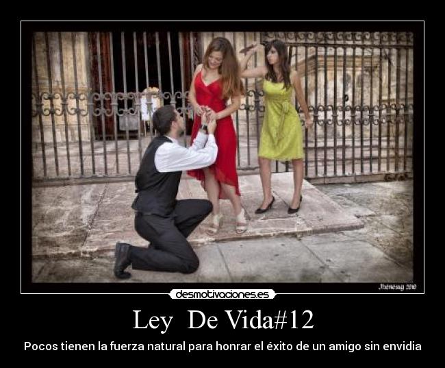 Ley De Vida#12 - Pocos tienen la fuerza natural para honrar el éxito de un amigo sin envidia