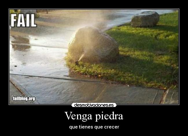 Venga piedra - que tienes que crecer