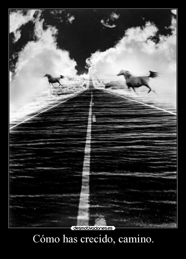 Cómo has crecido, camino. -